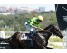  Carrera: P.Realeza Monta: V.Janacek Caballo: Abacur